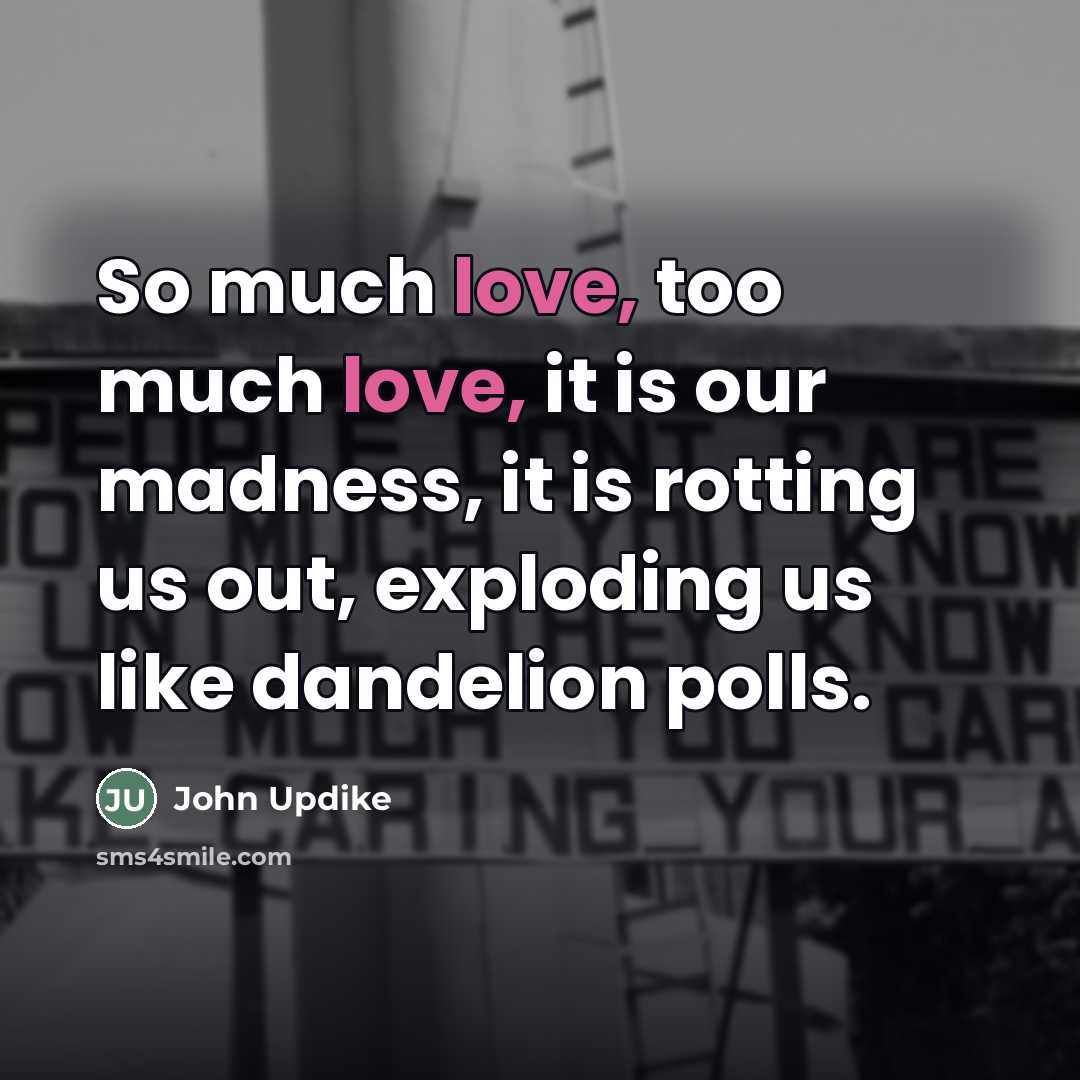 “So much love, too much love, it is our madness,…” quote by John Updike