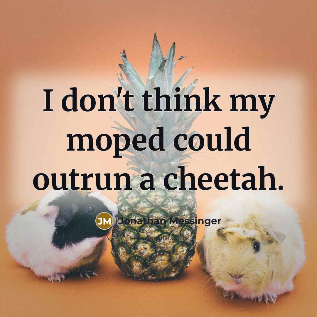 “I don't think my moped could outrun a cheetah.” quote by Jonathan Messinger