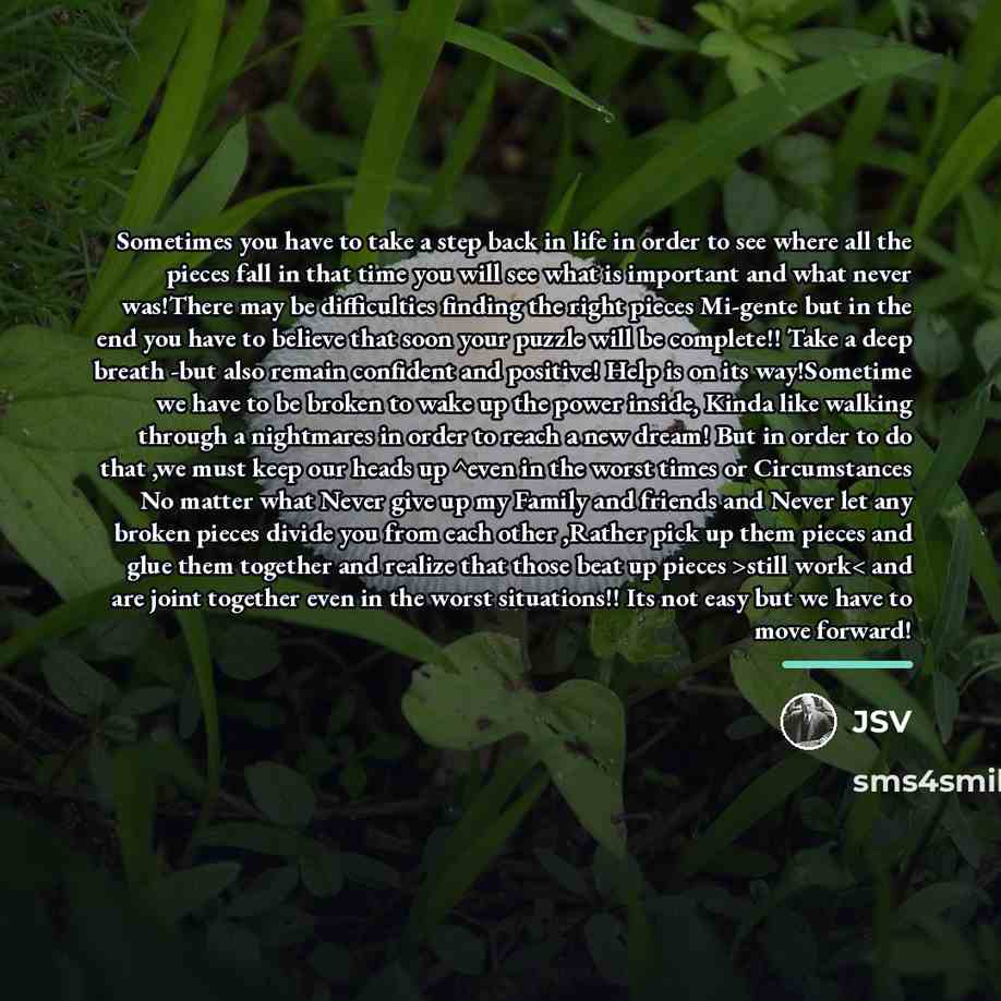 “Sometimes you have to take a step back in life…” quote by JSV