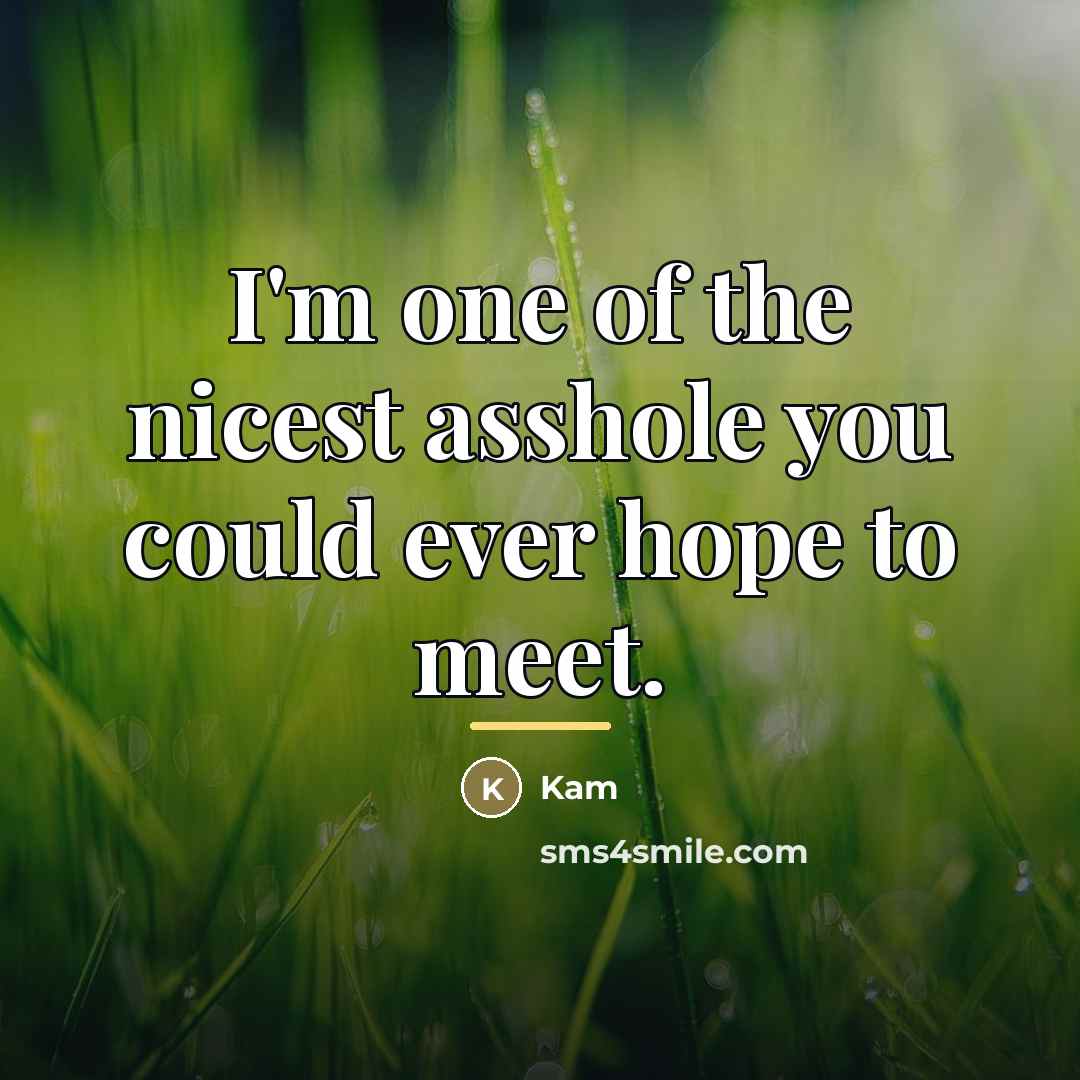 “I'm one of the nicest asshole you could ever hope…” quote by Kam