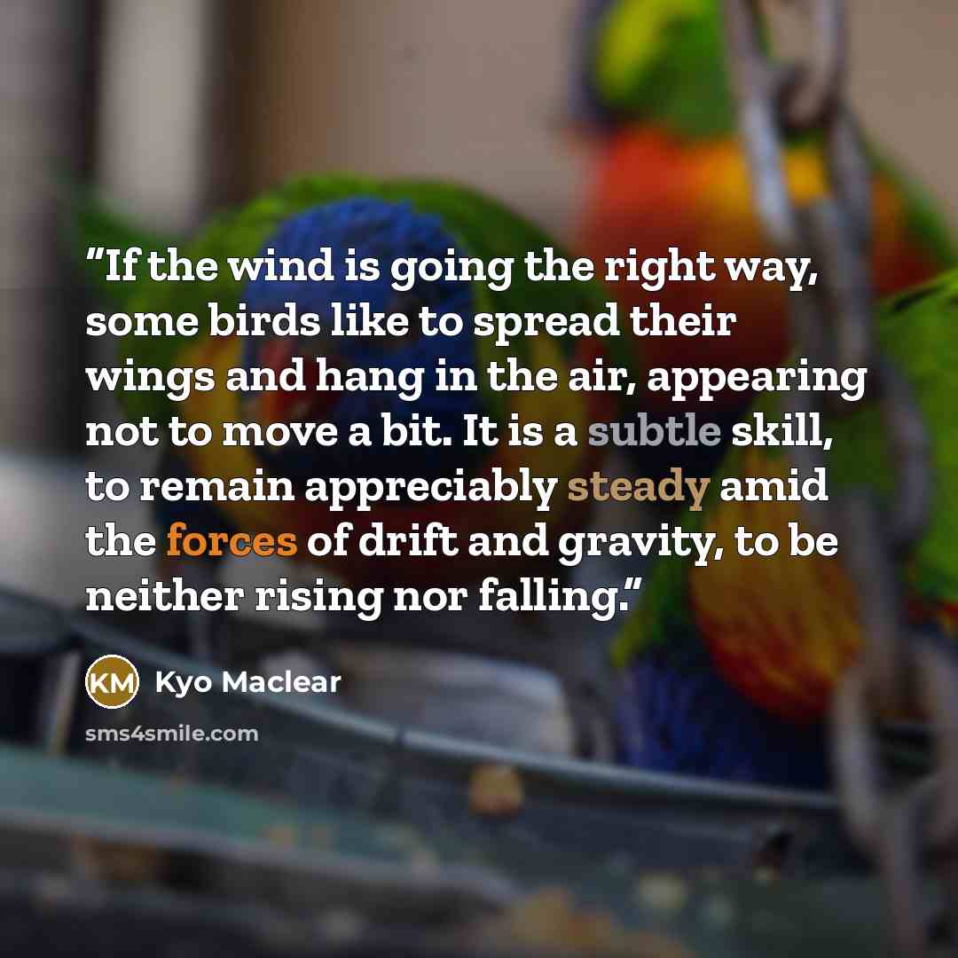“If the wind is going the right way, some birds like to spread their wings and hang in the air, appearing not to move a bit. It is a subtle skill, to remain appreciably steady amid the forces of drift and gravity, to be neither rising nor falling.” quote by Kyo Maclear