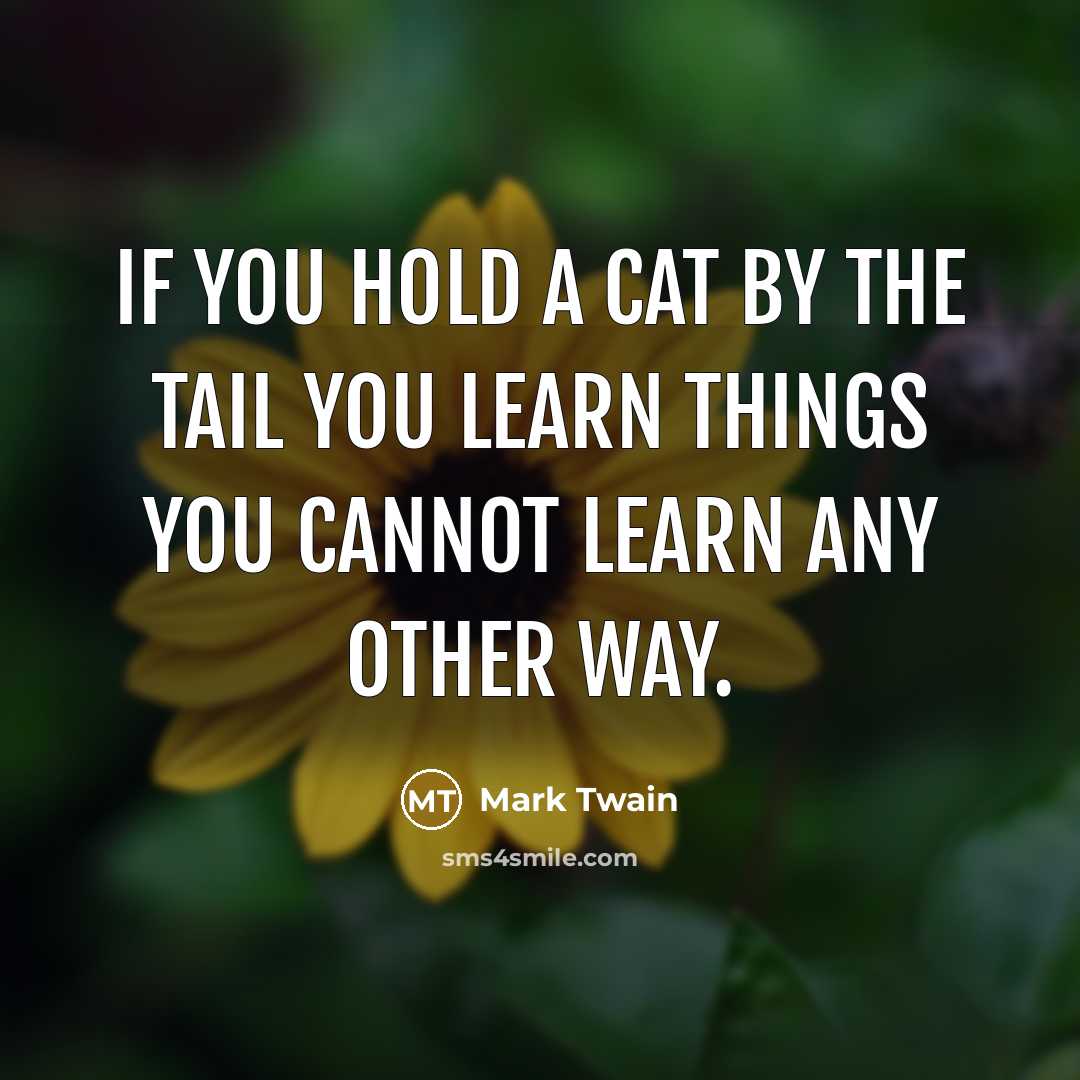 “If you hold a cat by the tail you learn…” quote by Mark Twain