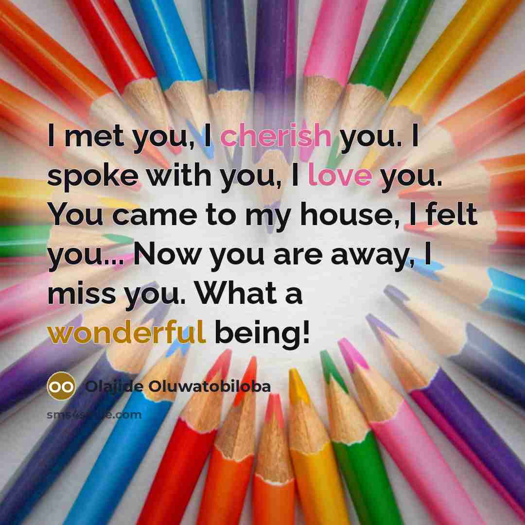 “I met you, I cherish you. I spoke with you, I love you. You came to my house, I felt you... Now you are away, I miss you. What a wonderful being!” quote by Olajide Oluwatobiloba