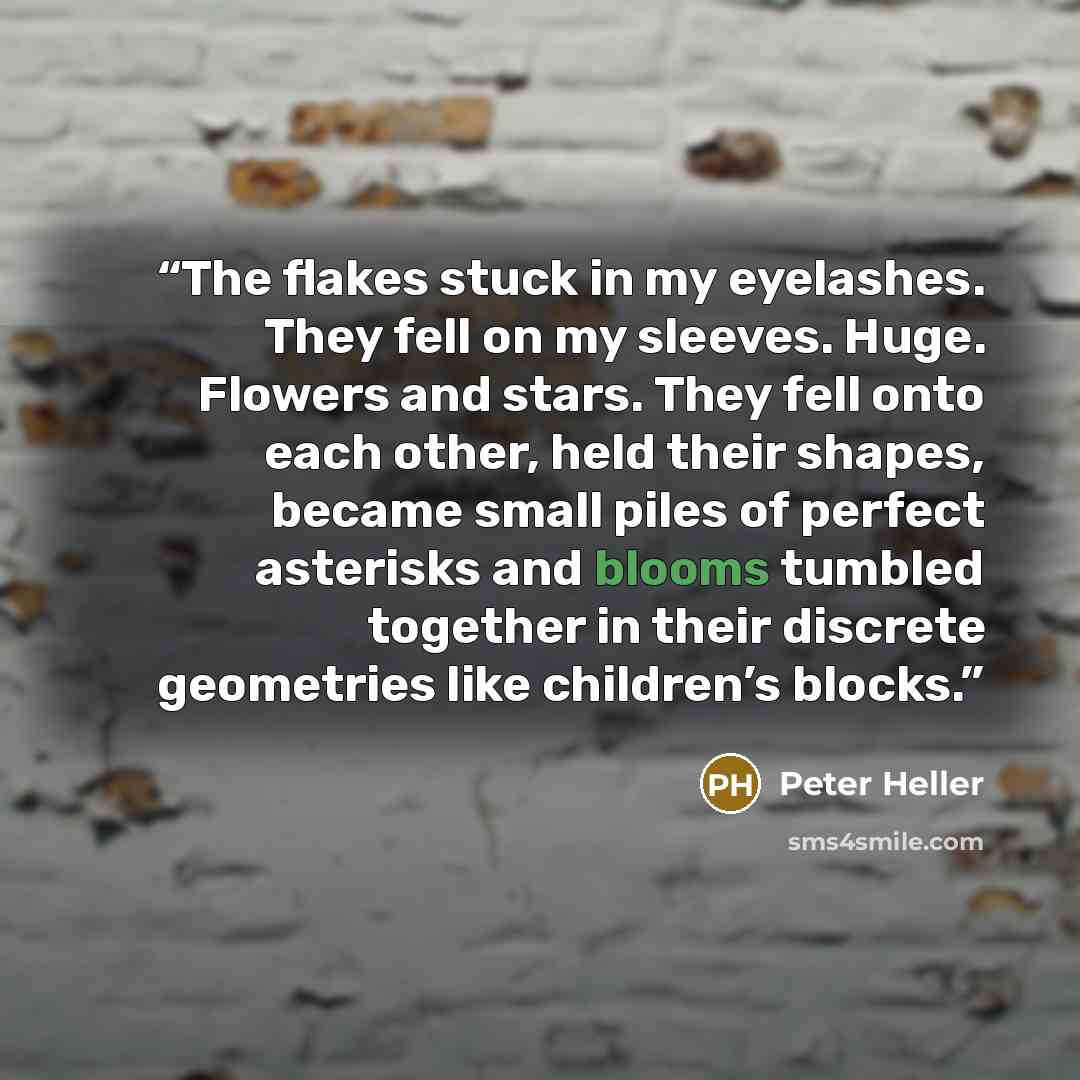 “The flakes stuck in my eyelashes. They fell on my sleeves. Huge. Flowers and stars. They fell onto each other, held their shapes, became small piles of perfect asterisks and blooms tumbled together in their discrete geometries like children’s blocks.” quote by Peter Heller