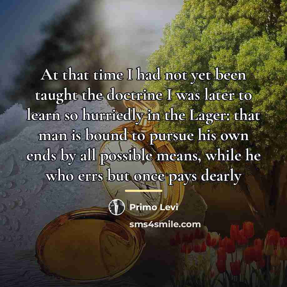 “At that time I had not yet been taught the…” quote by Primo Levi