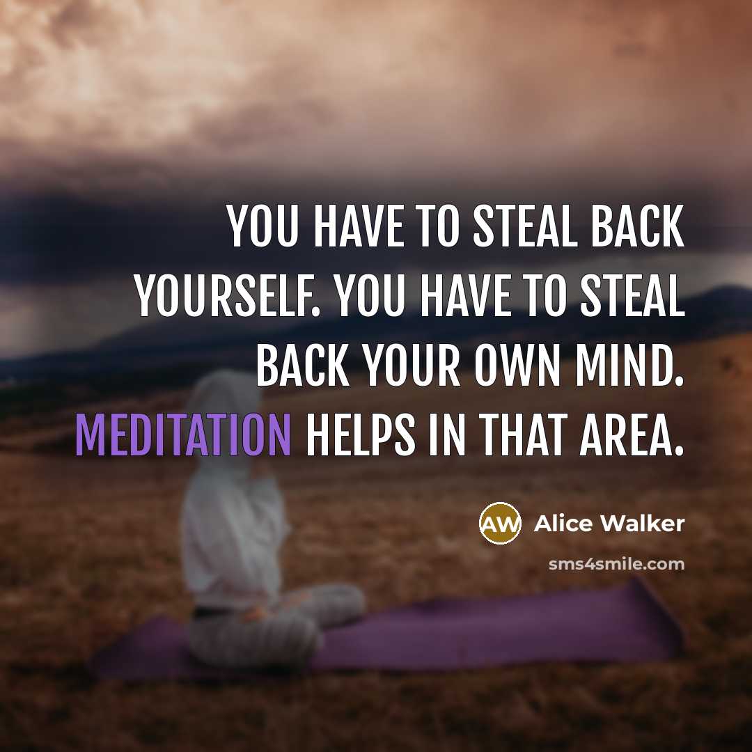 “You have to steal back yourself. You have to steal…” quote by Alice Walker