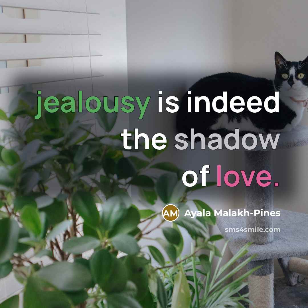 “jealousy is indeed the shadow of love.…” quote by Ayala Malakh-Pines
