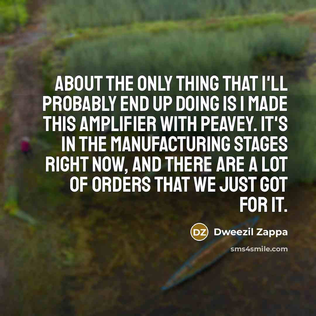 “About the only thing that I'll probably end up doing…” quote by Dweezil Zappa