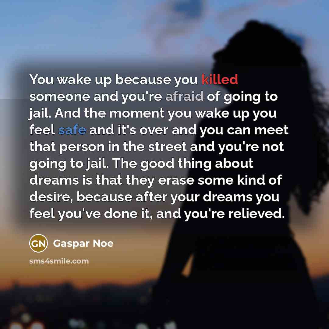 “You wake up because you killed someone and you're afraid…” quote by Gaspar Noe