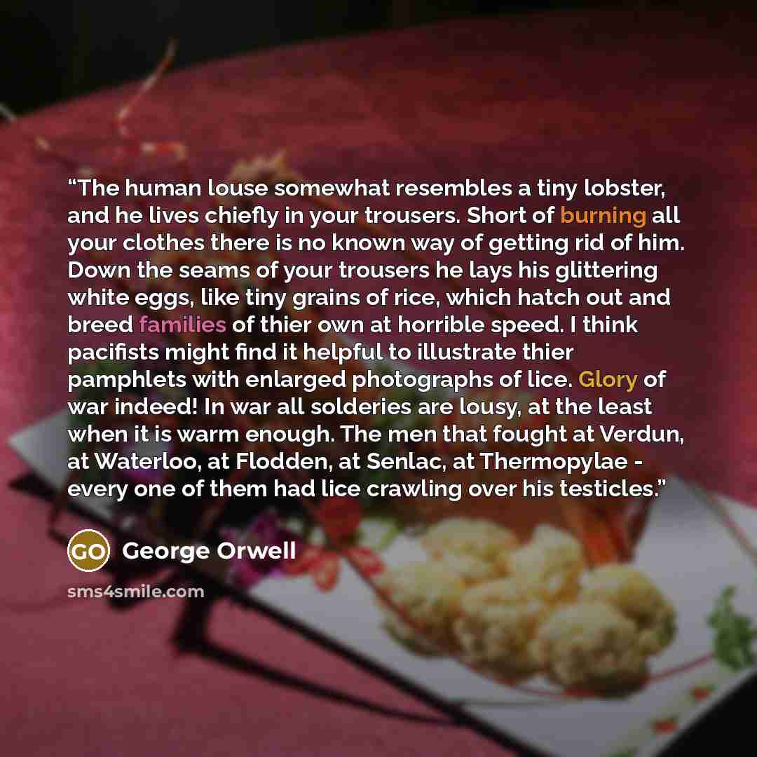 “The human louse somewhat resembles a tiny lobster, and he lives chiefly in your trousers. Short of burning all your clothes there is no known way of getting rid of him. Down the seams of your trousers he lays his glittering white eggs, like tiny grains of rice, which hatch out and breed families…” quote by George Orwell