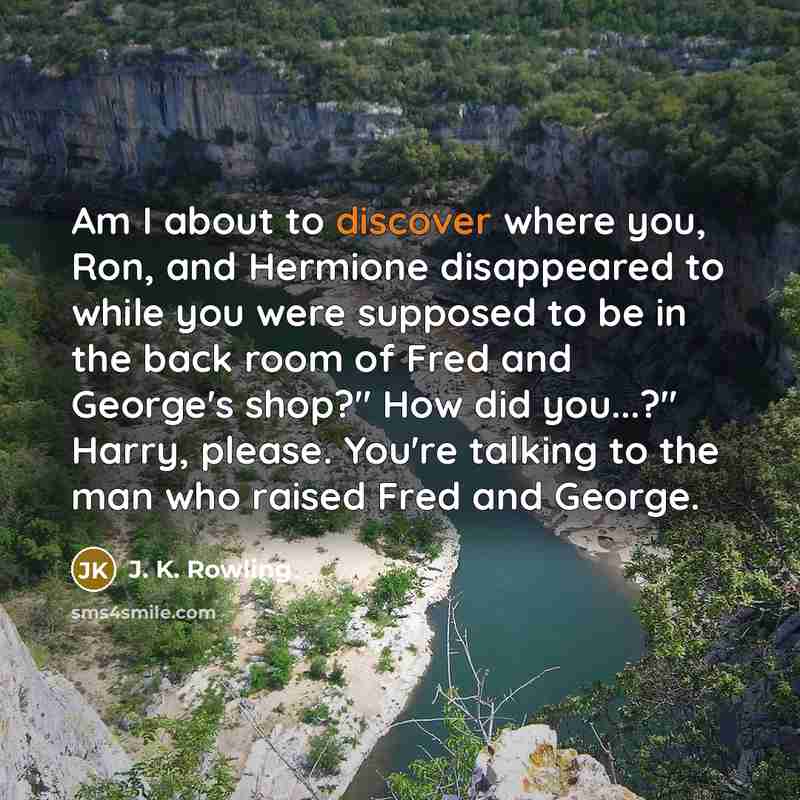 “Am I about to discover where you, Ron, and Hermione…” quote by J. K. Rowling
