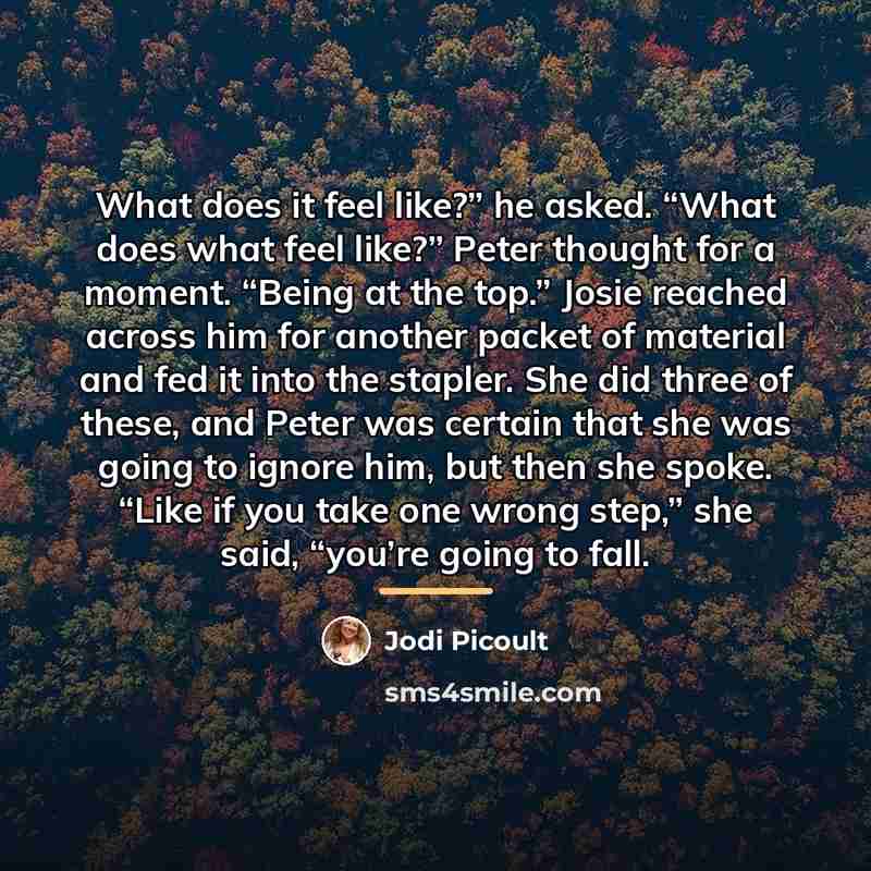“What does it feel like?” he asked. “What does what…” quote by Jodi Picoult