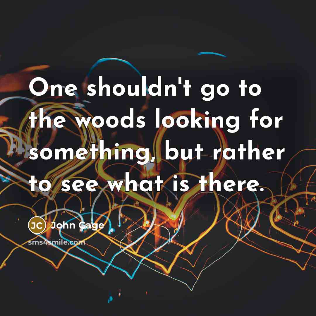 “One shouldn't go to the woods looking for something, but…” quote by John Cage