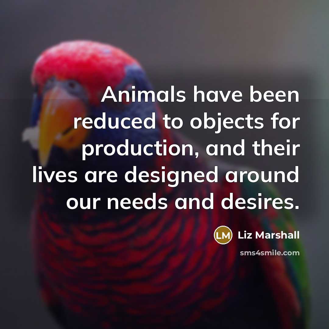 “Animals have been reduced to objects for production, and their…” quote by Liz Marshall