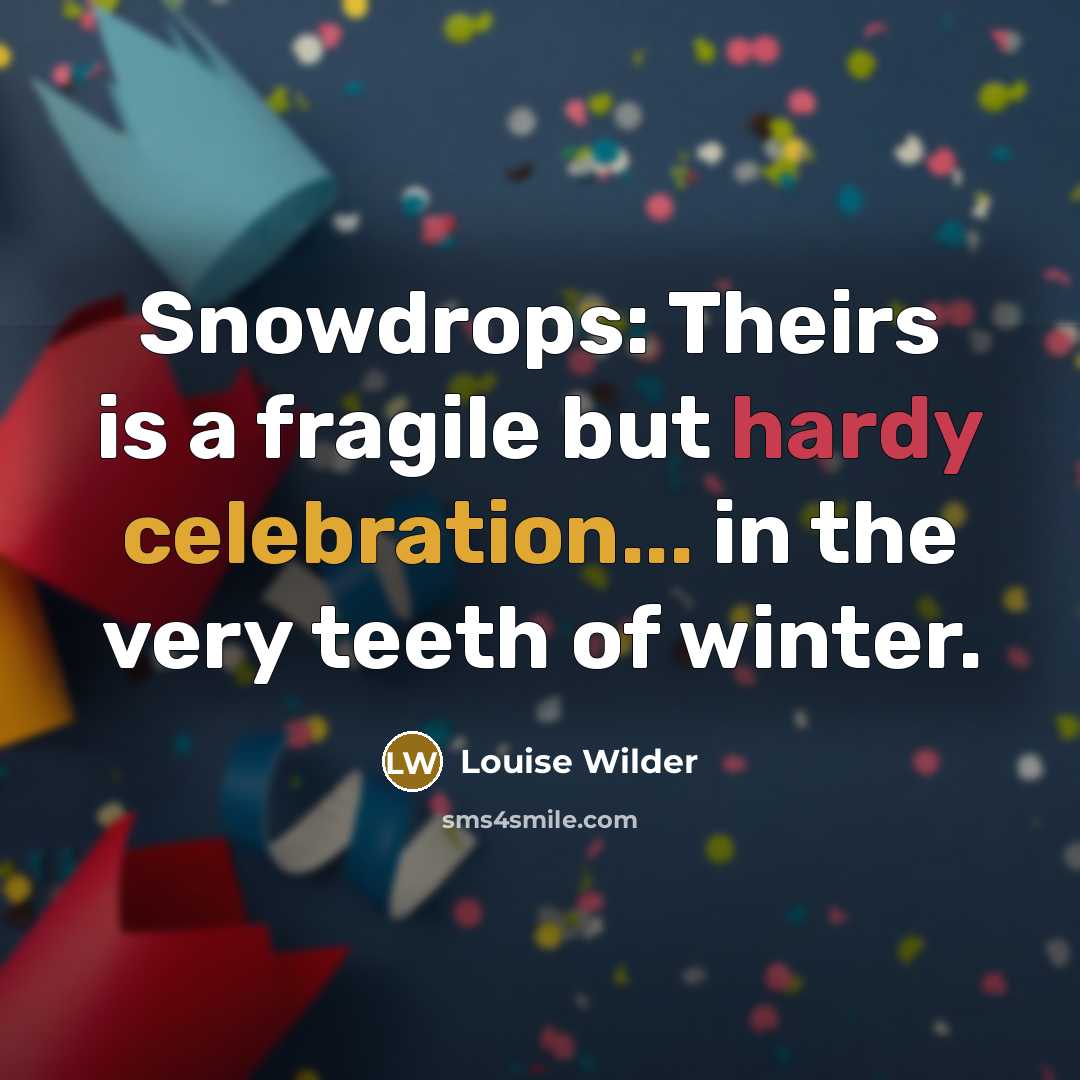 “Snowdrops: Theirs is a fragile but hardy celebration... in the…” quote by Louise Wilder