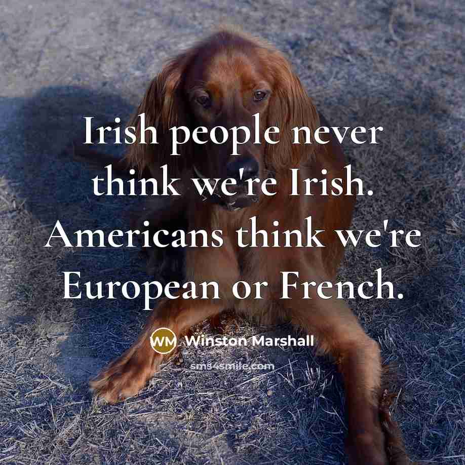 “Irish people never think we're Irish. Americans think we're European…” quote by Winston Marshall