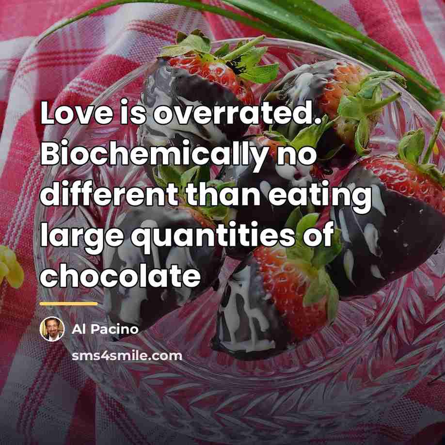 “Love is overrated. Biochemically no different than eating large quantities…” quote by Al Pacino