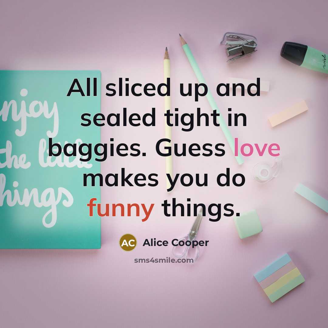 “All sliced up and sealed tight in baggies. Guess love…” quote by Alice Cooper