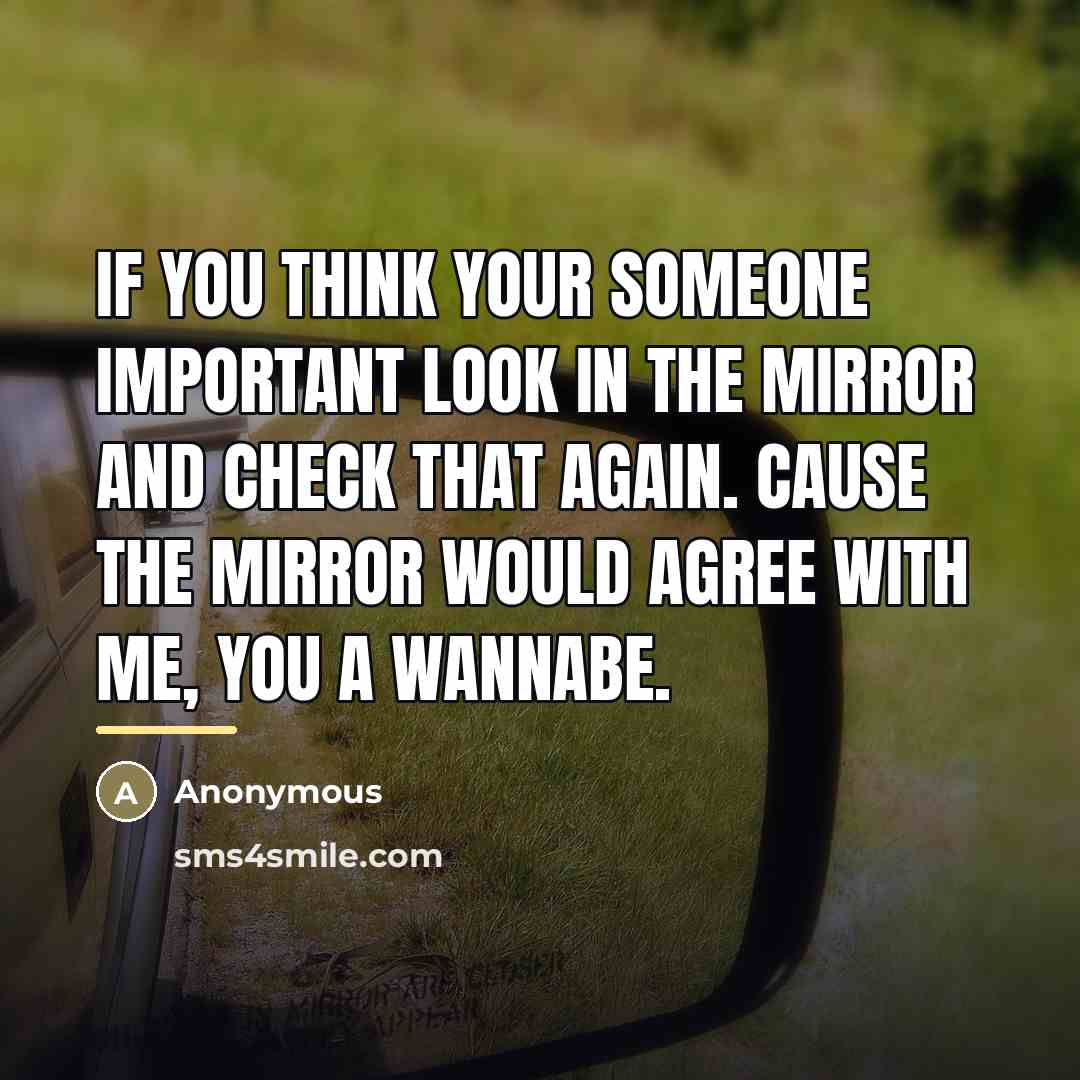 “If you think your someone important look in the mirror…” quote by Anonymous