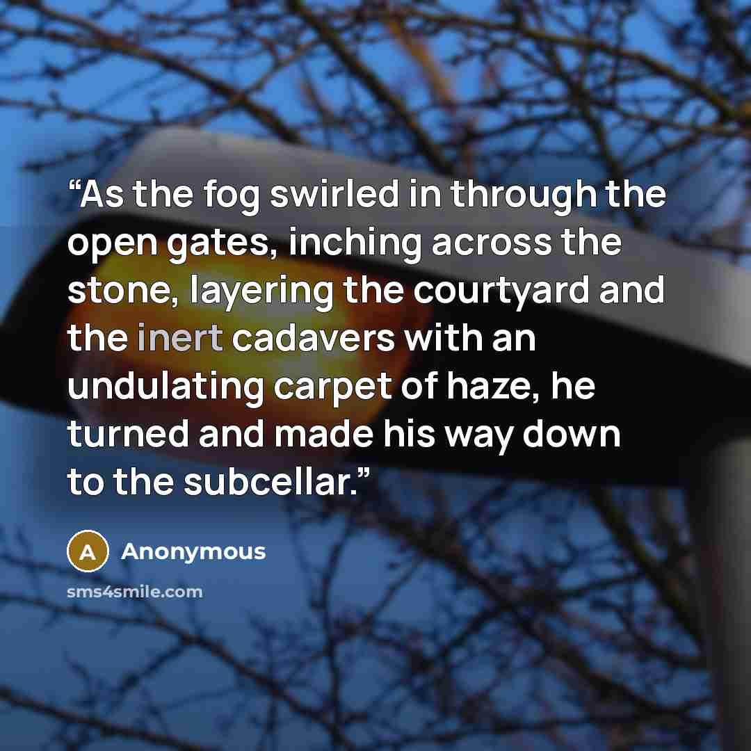 “As the fog swirled in through the open gates, inching across the stone, layering the courtyard and the inert cadavers with an undulating carpet of haze, he turned and made his way down to the subcellar.” quote by Anonymous