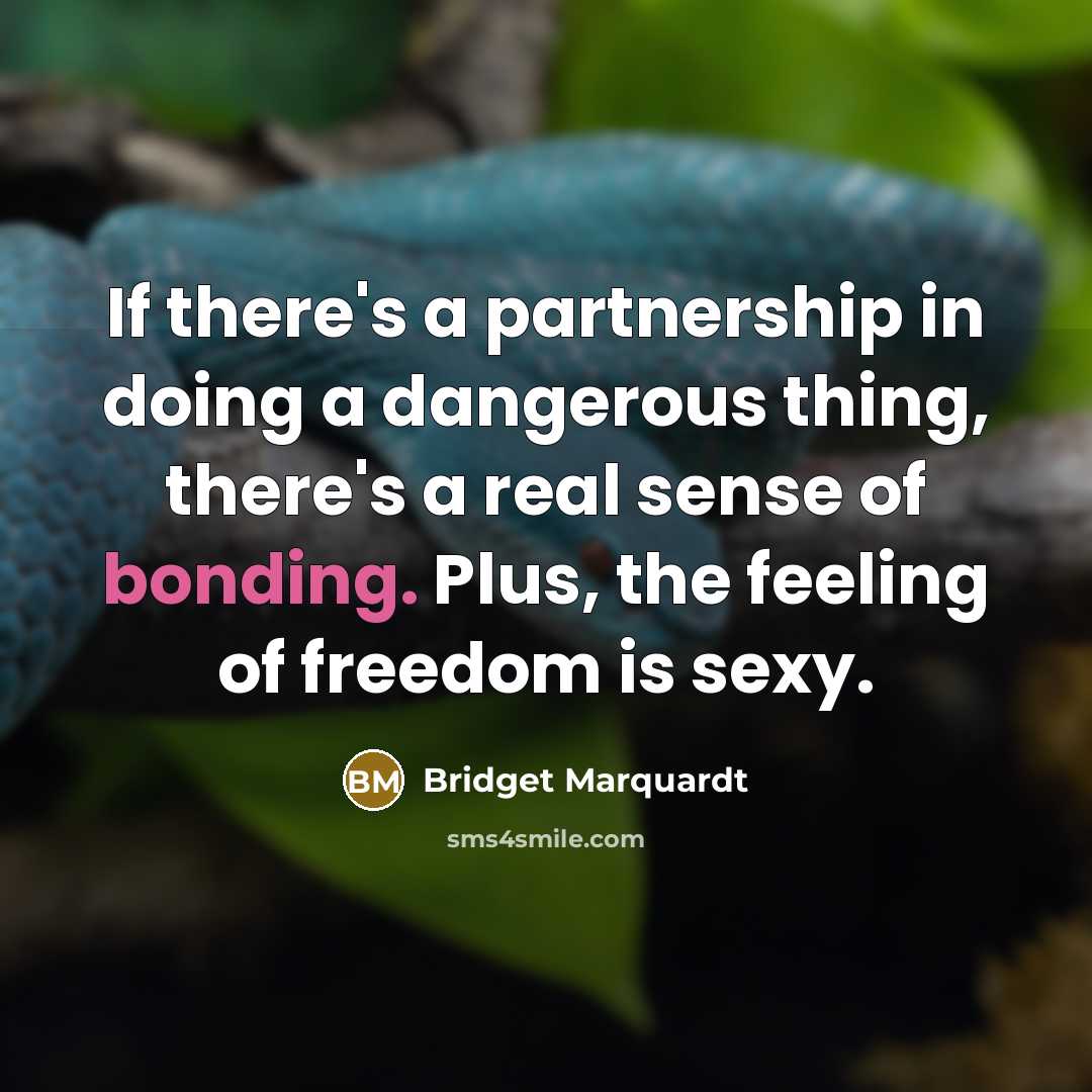 “If there's a partnership in doing a dangerous thing, there's…” quote by Bridget Marquardt
