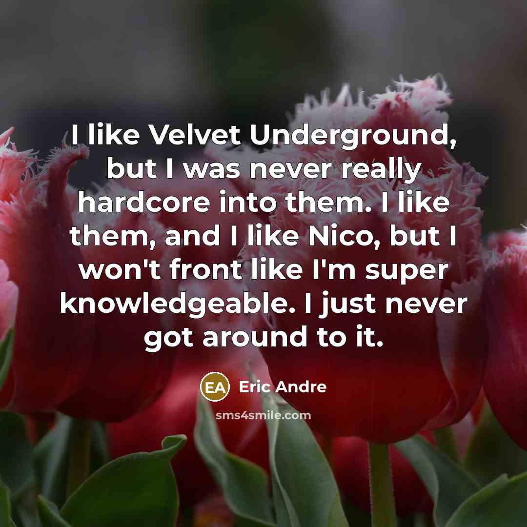 “I like Velvet Underground, but I was never really hardcore…” quote by Eric Andre
