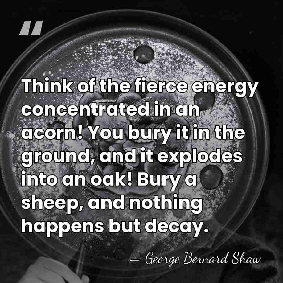 Think of the fierce energy concentrated in an acorn! You bury it&hellip; - George Bernard Shaw