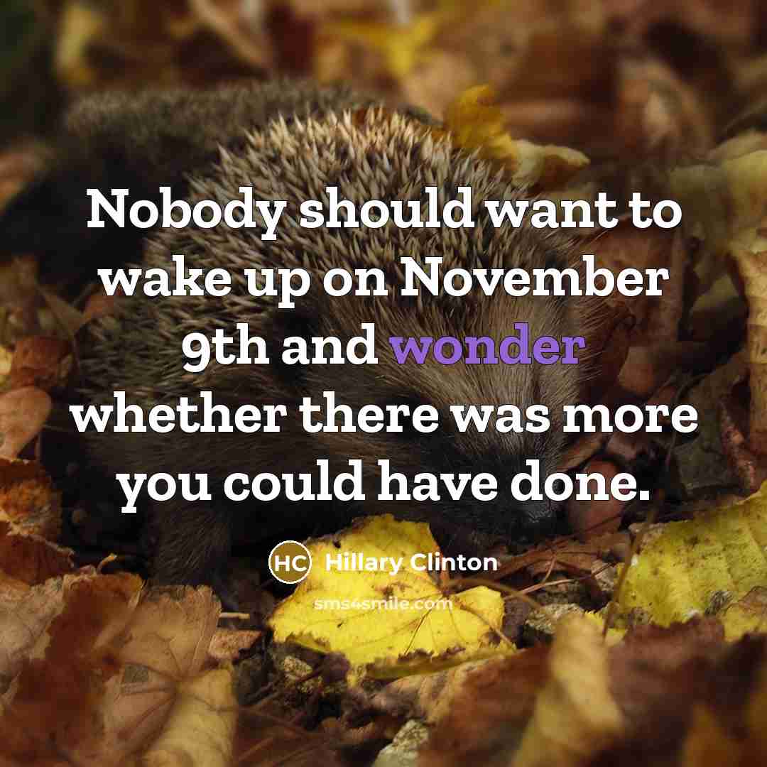 “Nobody should want to wake up on November 9th and…” quote by Hillary Clinton