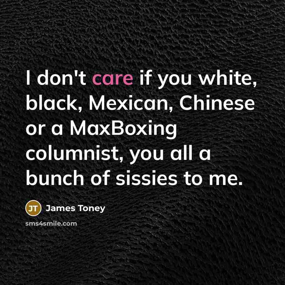 “I don't care if you white, black, Mexican, Chinese or…” quote by James Toney