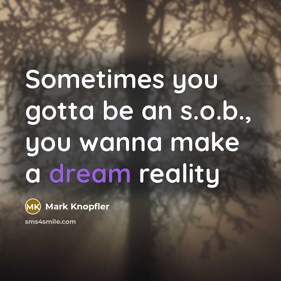 “Sometimes you gotta be an s.o.b., you wanna make a…” quote by Mark Knopfler