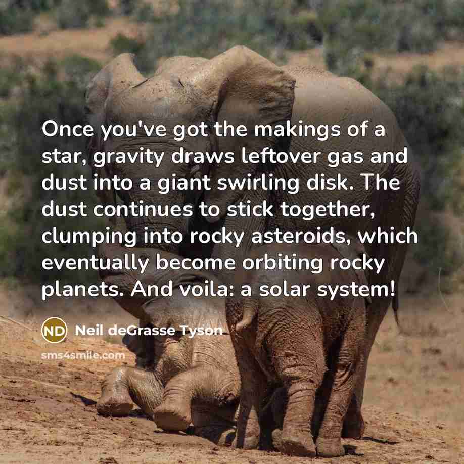 “Once you've got the makings of a star, gravity draws…” quote by Neil deGrasse Tyson