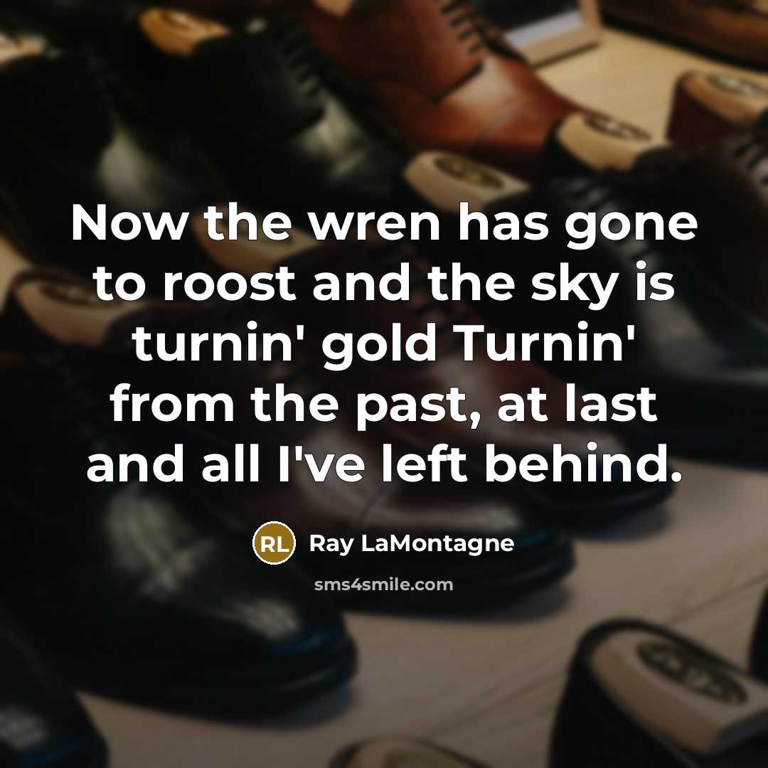 “Now the wren has gone to roost and the sky…” quote by Ray LaMontagne