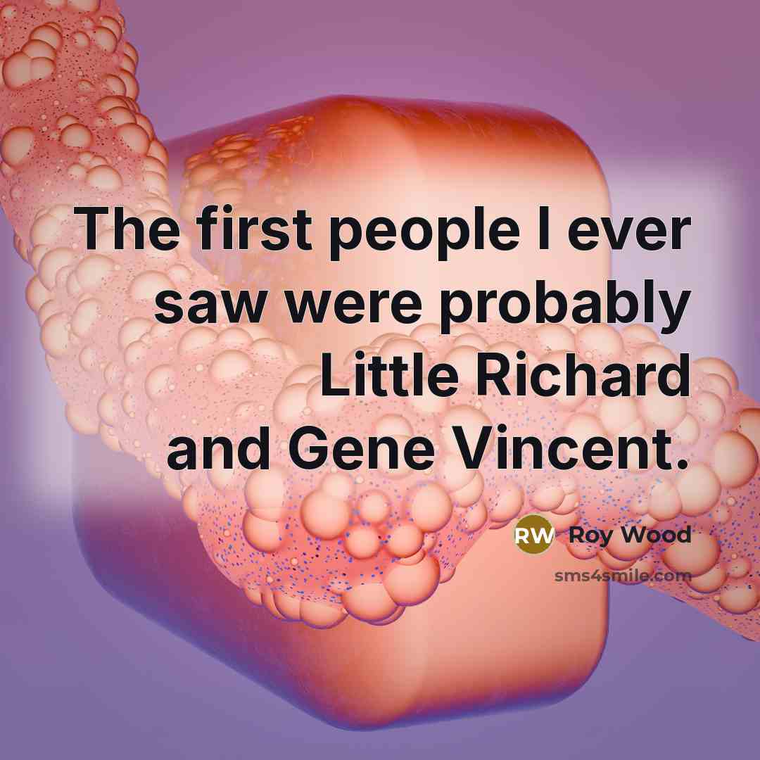 “The first people I ever saw were probably Little Richard…” quote by Roy Wood