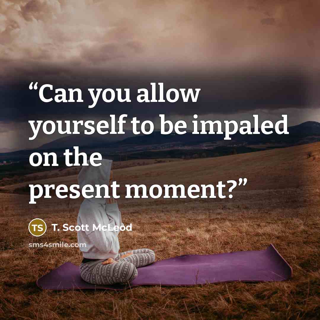 “Can you allow yourself to be impaled on the present moment?” quote by T. Scott McLeod