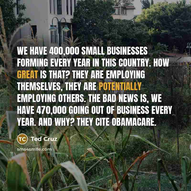 “We have 400,000 small businesses forming every year in this…” quote by Ted Cruz