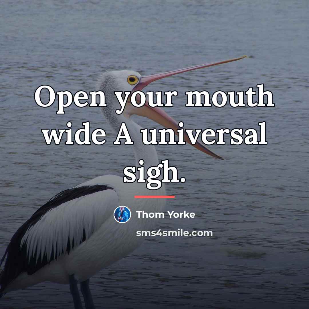“Open your mouth wide A universal sigh.…” quote by Thom Yorke