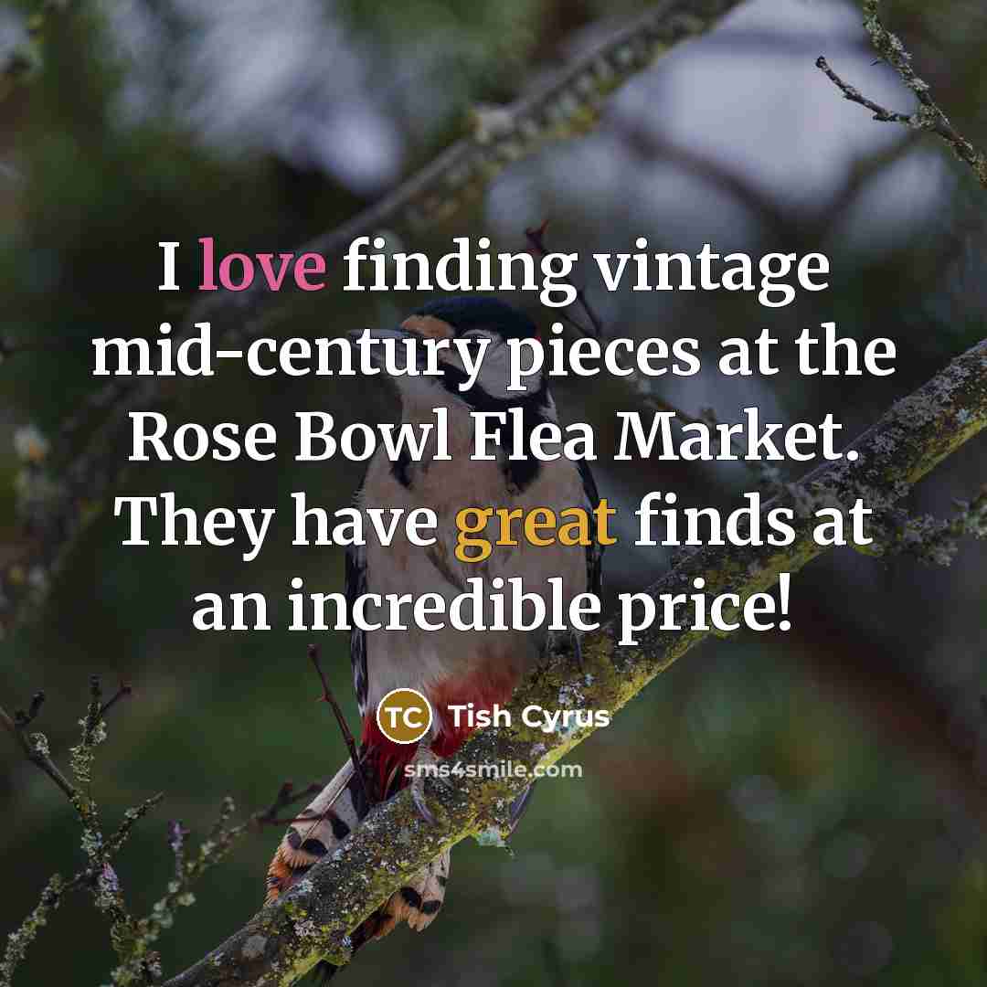 “I love finding vintage mid-century pieces at the Rose Bowl…” quote by Tish Cyrus
