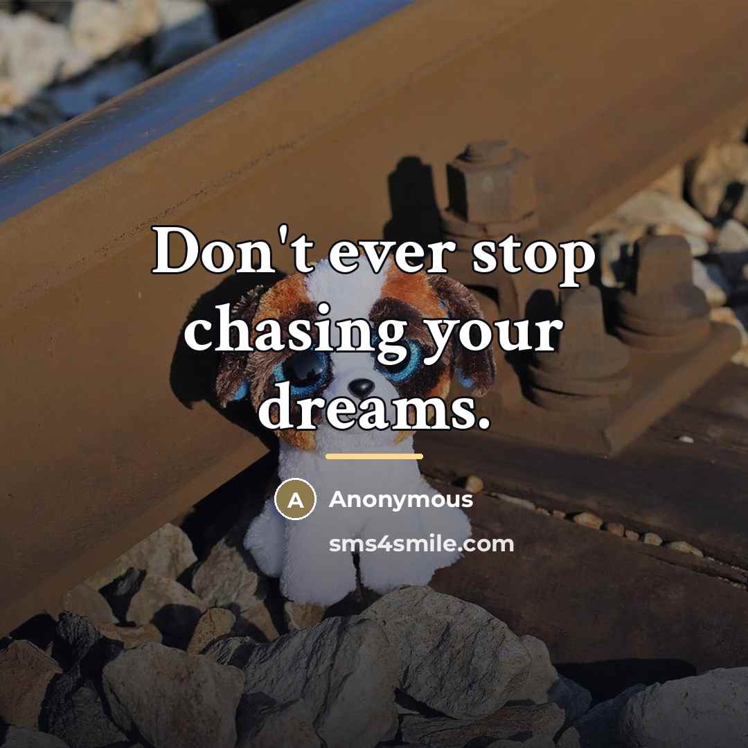 “Don't ever stop chasing your dreams.…” quote by Anonymous