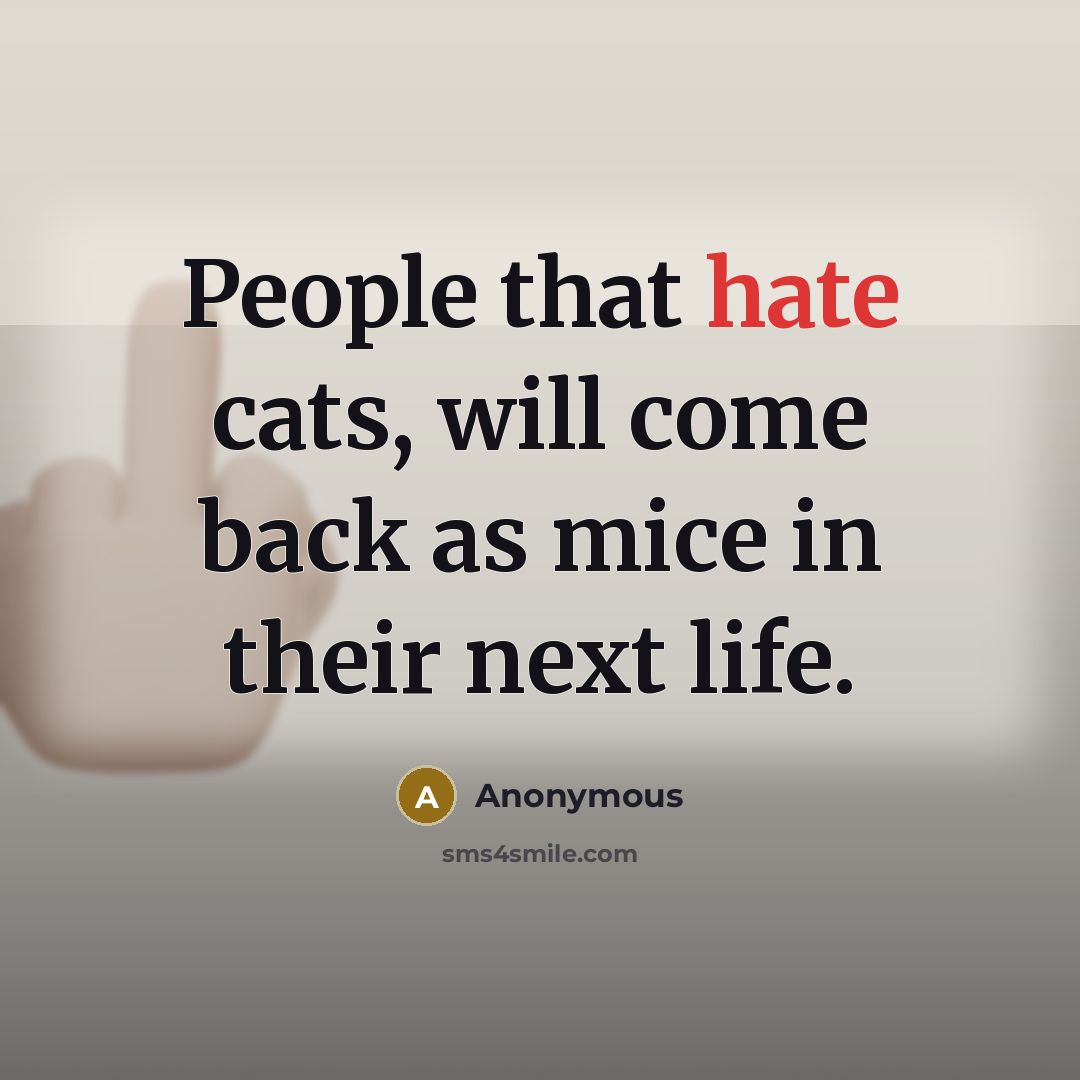 “People that hate cats, will come back as mice in their next life.” quote by Anonymous