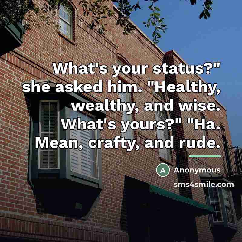 “What's your status?" she asked him. "Healthy, wealthy, and wise.…” quote by Anonymous