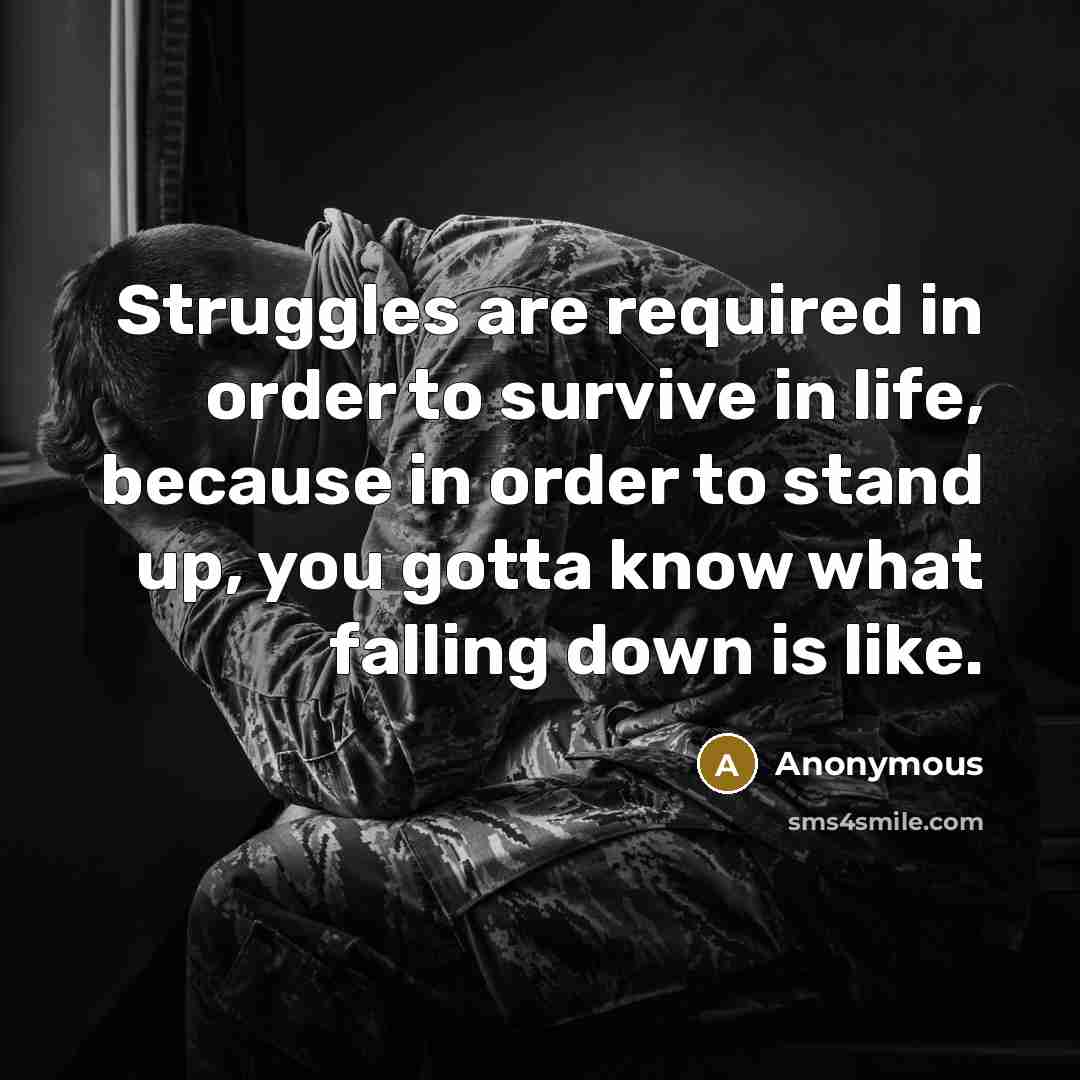 “Struggles are required in order to survive in life, because in order to stand up, you gotta know what falling down is like.” quote by Anonymous