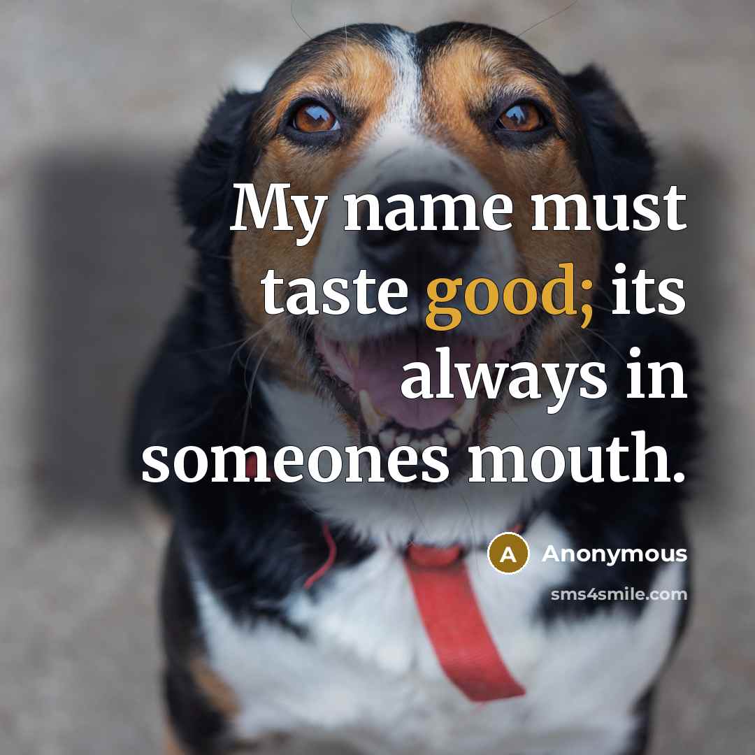 “My name must taste good; its always in someones mouth.…” quote by Anonymous