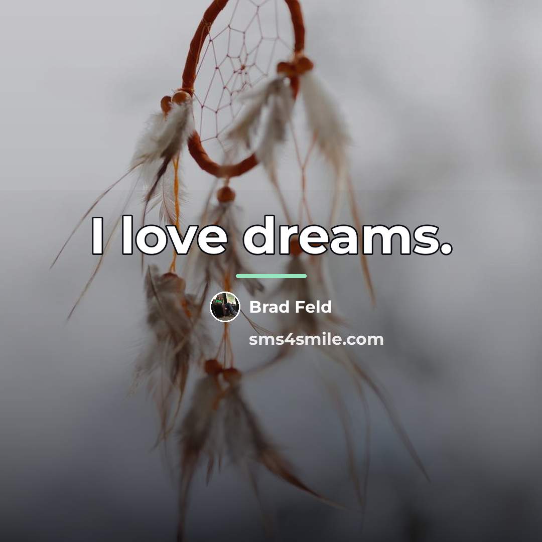 “I love dreams.…” quote by Brad Feld