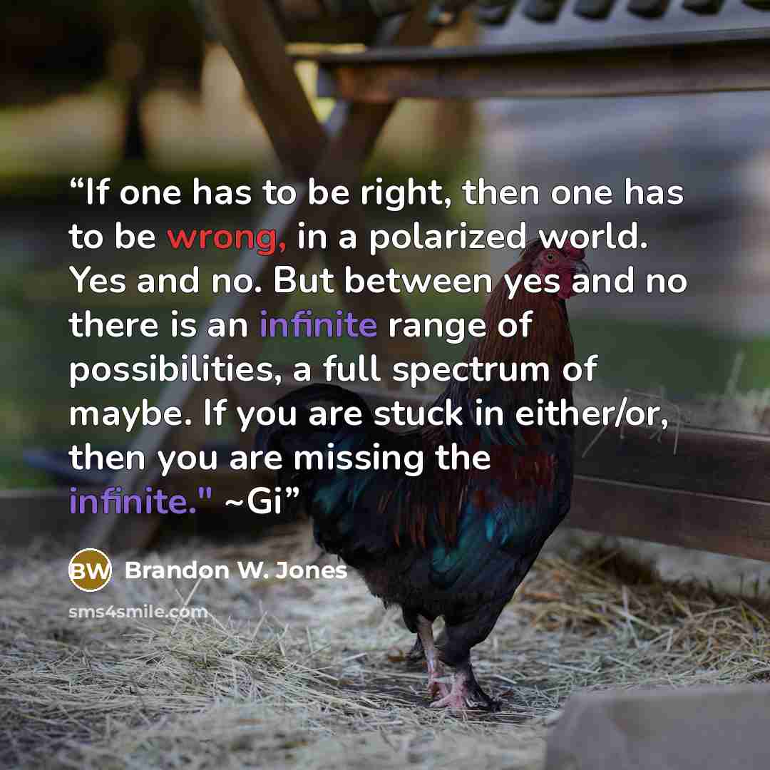 “If one has to be right, then one has to be wrong, in a polarized world. Yes and no. But between yes and no there is an infinite range of possibilities, a full spectrum of maybe. If you are stuck in either/or, then you are missing the infinite." ~Gi” quote by Brandon W. Jones