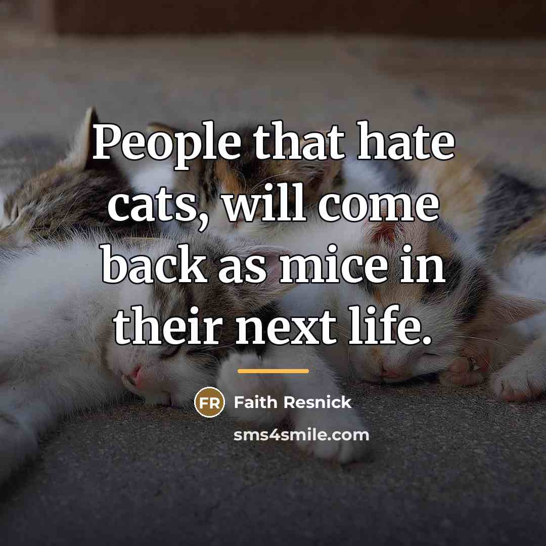 “People that hate cats, will come back as mice in…” quote by Anonymous