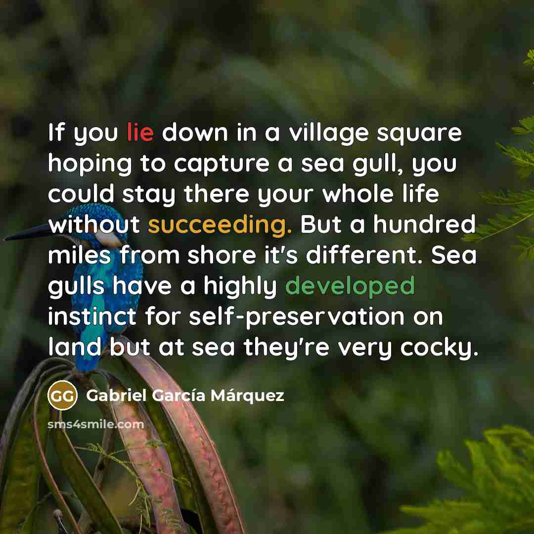 “If you lie down in a village square hoping to capture a sea gull, you could stay there your whole life without succeeding. But a hundred miles from shore it's different. Sea gulls have a highly developed instinct for self-preservation on land but at sea they're very cocky.” quote by Gabriel Garcia Marquez