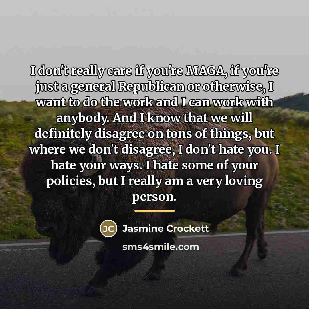 “I don't really care if you're MAGA, if you're just…” quote by Jasmine Crockett