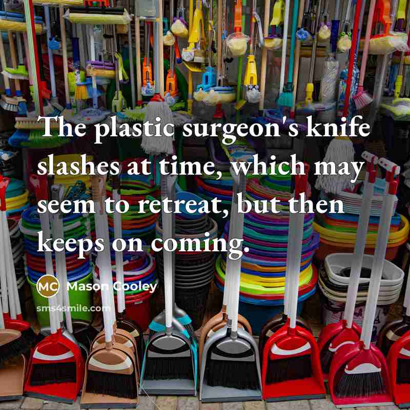 “The plastic surgeon's knife slashes at time, which may seem to retreat, but then keeps on coming.” quote by Mason Cooley