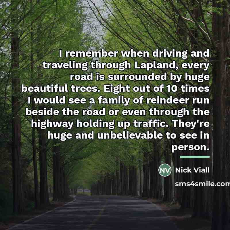 “I remember when driving and traveling through Lapland, every road…” quote by Nick Viall