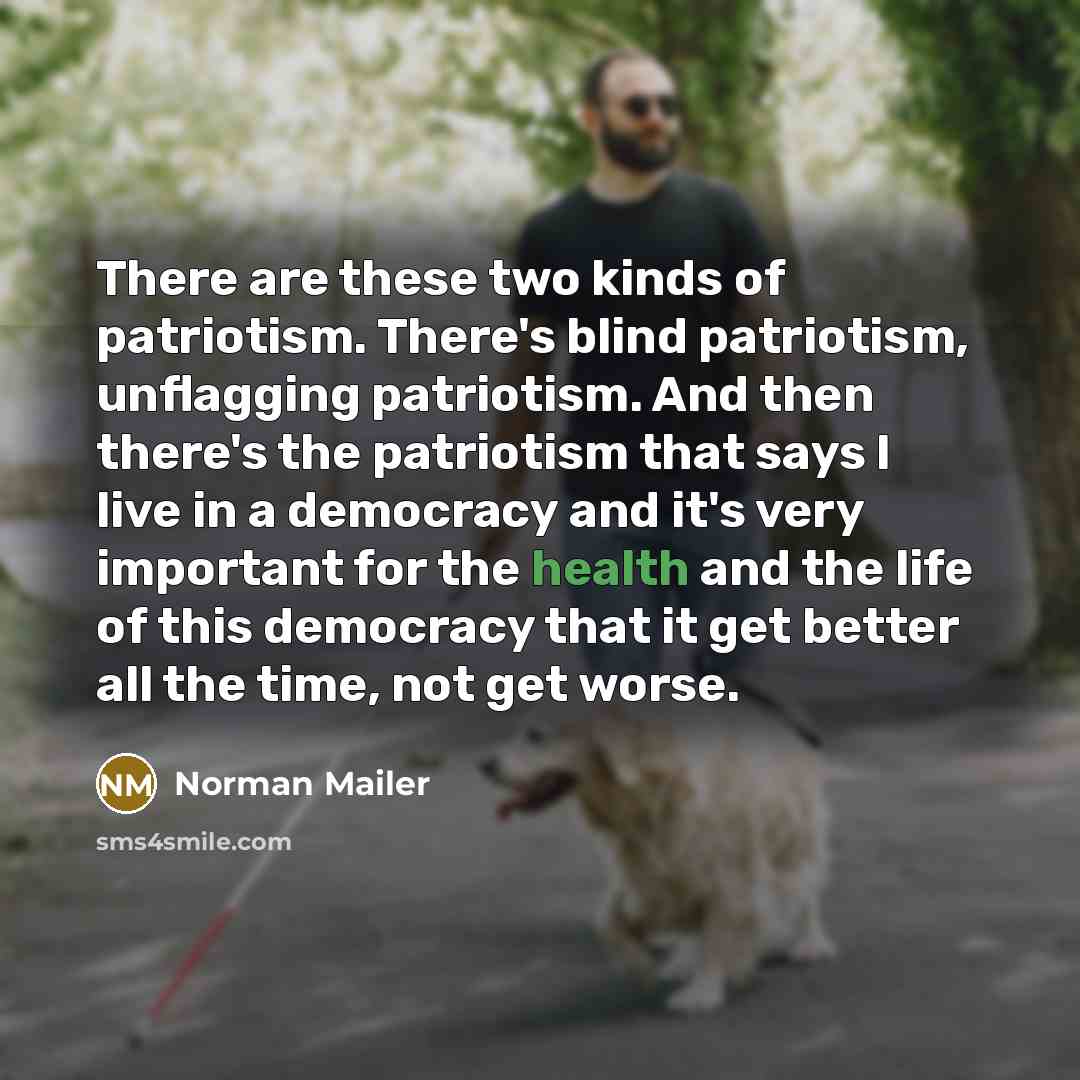 “There are these two kinds of patriotism. There's blind patriotism,…” quote by Norman Mailer